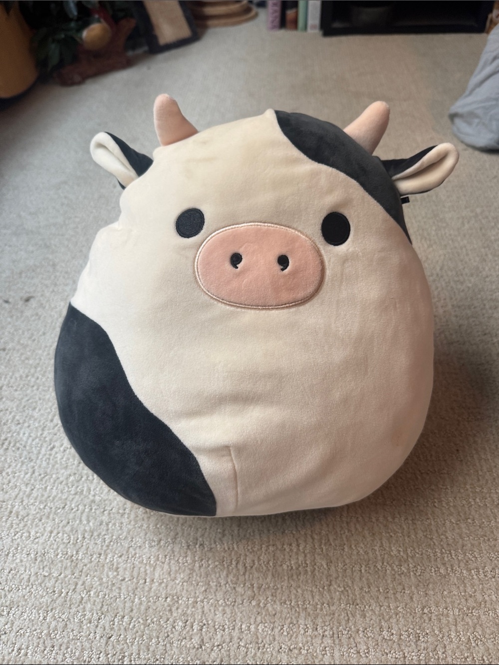 Squishmallows White Plush Tag with Teal Logo